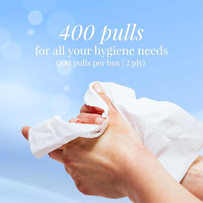 Beautey 2 Ply Facial Tissue Box | Car Tissue - Pack of 4 (100 Pulls Per Box, 400 Sheets (800 sheets)