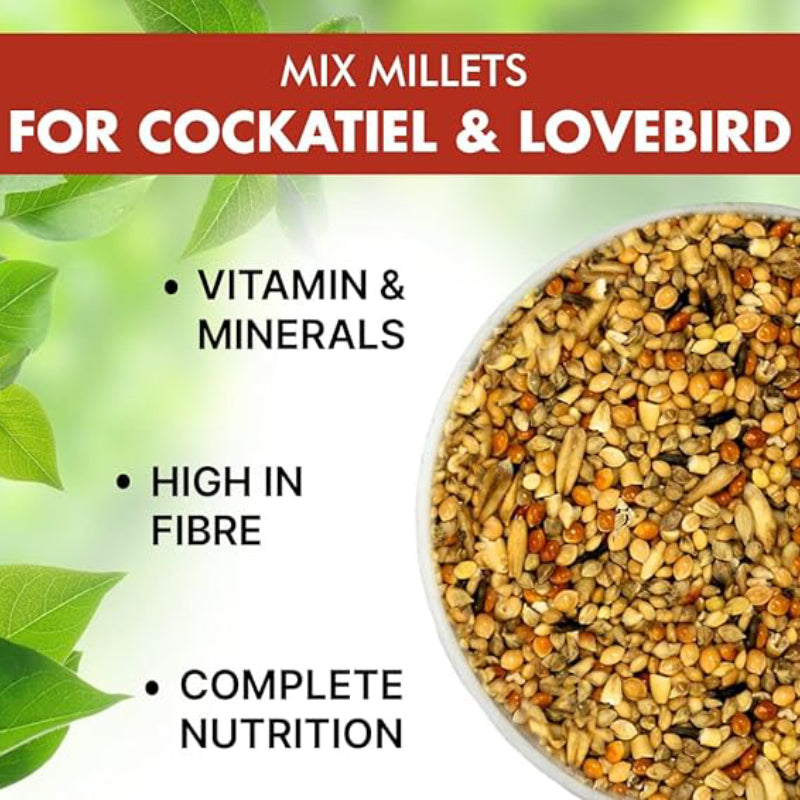 Premium Seed Mix  for Cockatiel & African Lovebirds